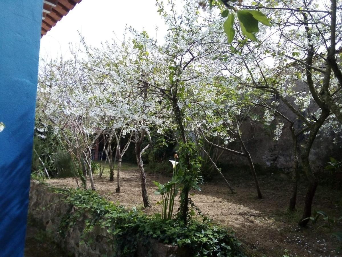 Вилла Casas Altas Obidos - Al Sobral  Экстерьер фото